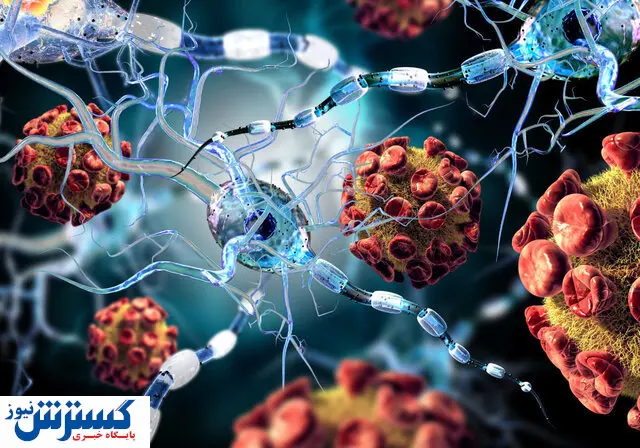 آمار روزانه فوتی های کرونا صعودی شد + جزئیات