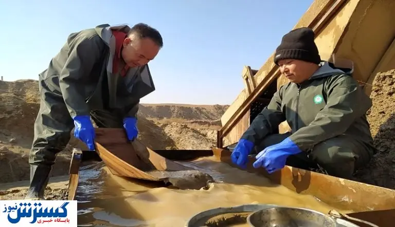 خیز بلند چینی ها برای طلای ایران