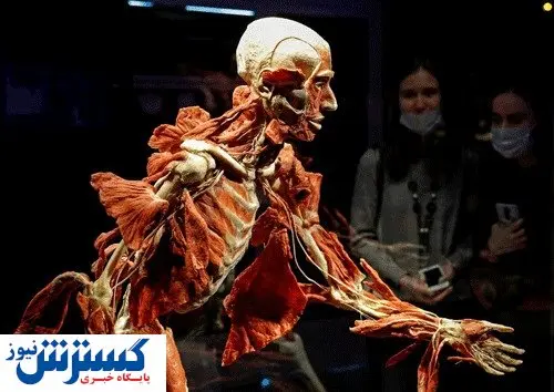 نمایشگاه اجساد واقعی حاشیه ساز شد / تصاویر+۱۳