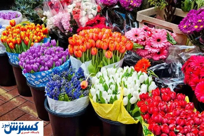 خرید گل چقدر آب می خورد؟