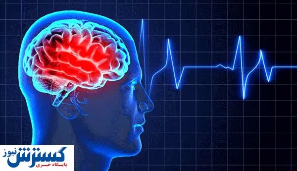 راز زندگی طولانی کشف شد