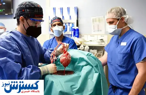 نجات معجزه آسای این مرد با پیوند قلب خوک + عکس