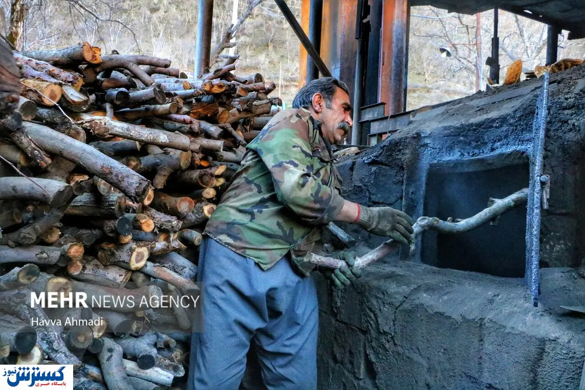 تصاویر/ تولید زغال به روش سنتی