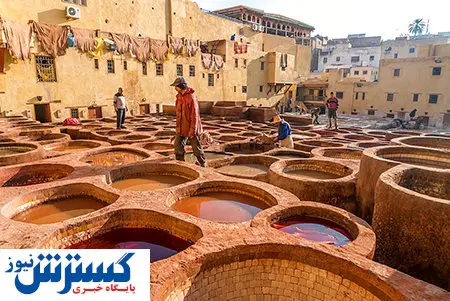 شهر چشم نوازی که بسیار بد بو است + عکس