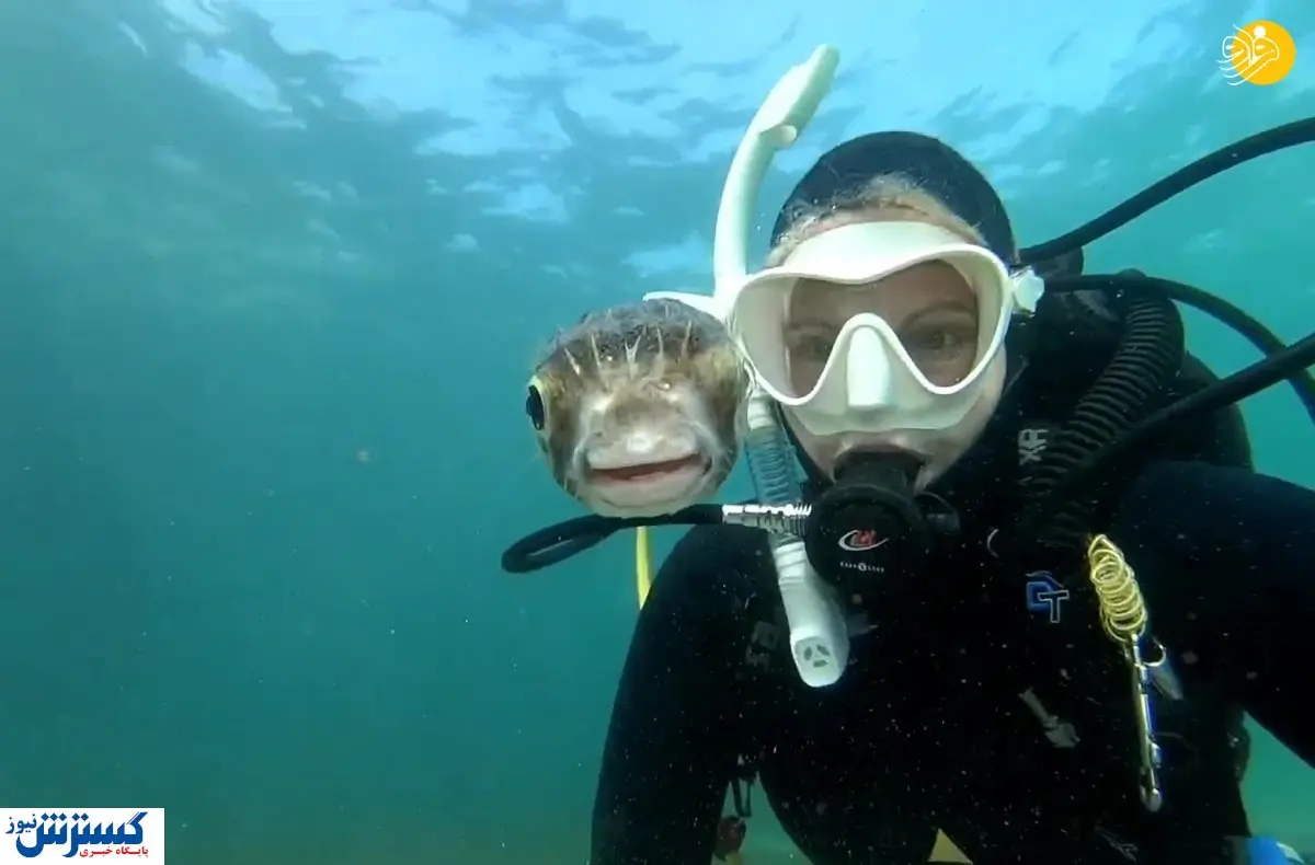 سلفی دختر جان در کنار ماهی خطرناک + عکس