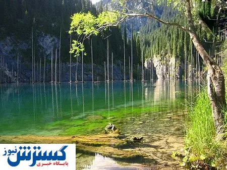 دریاچه ای با درختانی که وارونه ایستاده اند + عکس