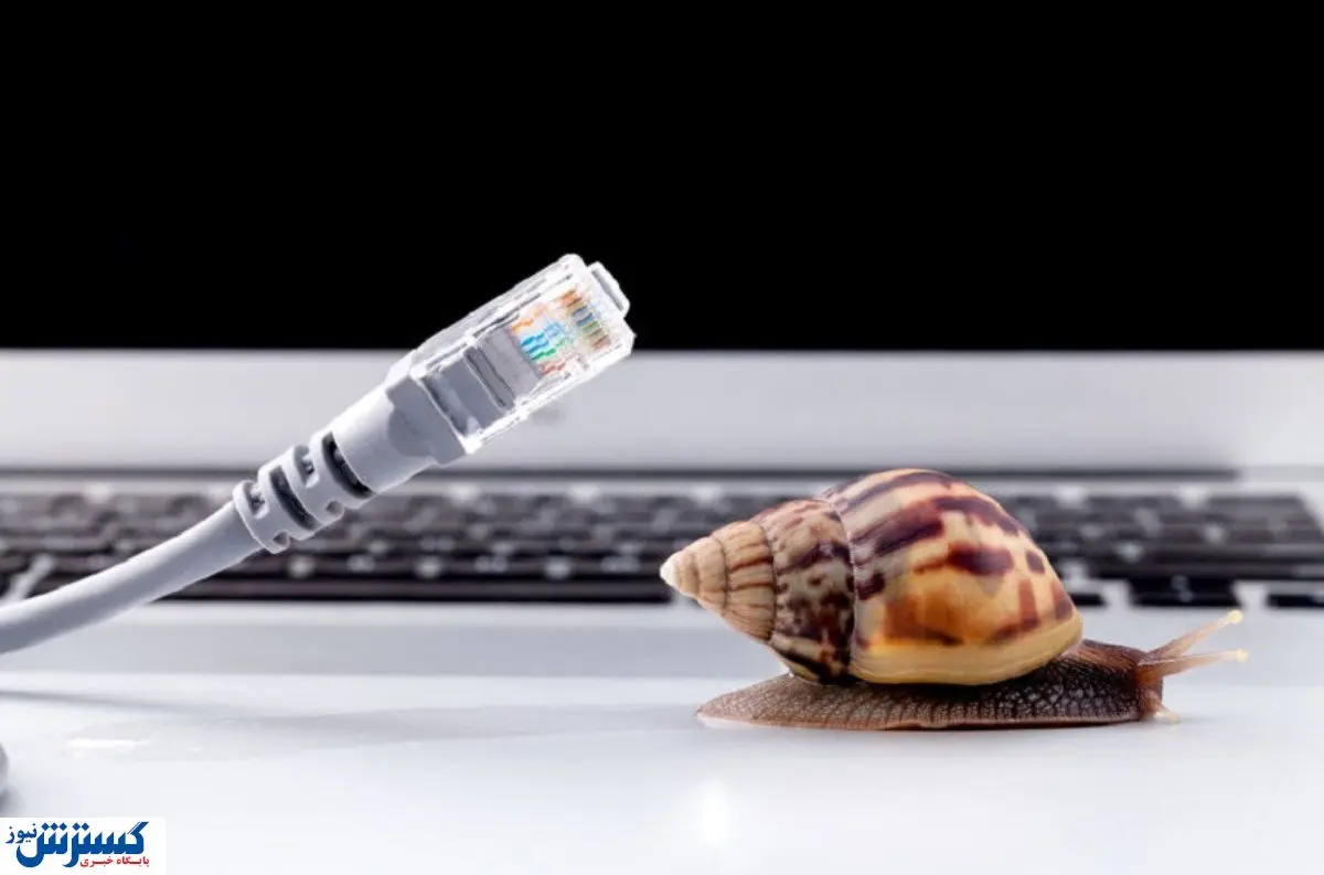 صفر تا صد کندی اینترنت / از حمله کوسهها تا هجوم دانشجویان