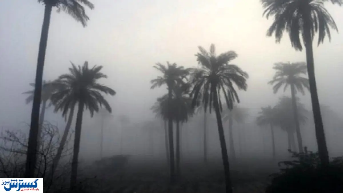 اکران هنر و تجربه به ایستگاه «سینه ما رکس» آبادان رسید