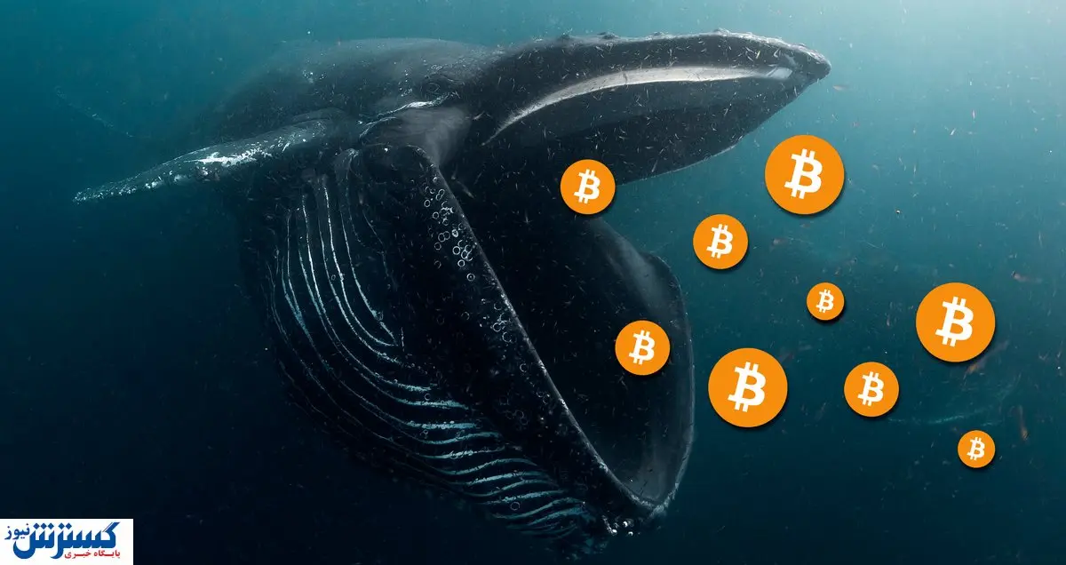 نهنگ ها عاشق این رمزارزها هستند