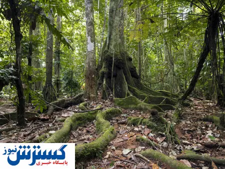 خطر فلج شدن انسان در این پارک عجیب! + تصاویر