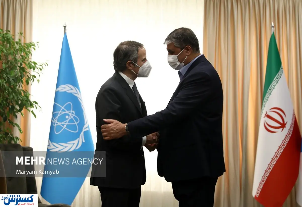 اسلامی: نفوذ سیاسی و لابیگری نباید در تصمیمات آژانس تاثیر بگذارد