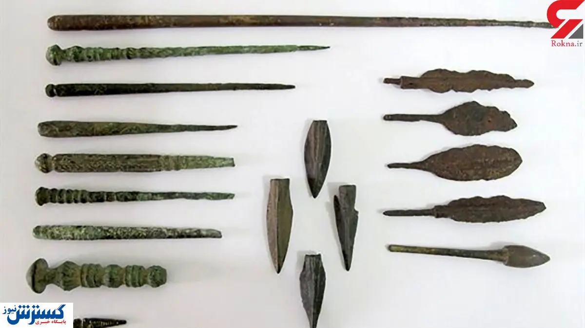 موزه دار خانگی زنجان بازداشت شد!