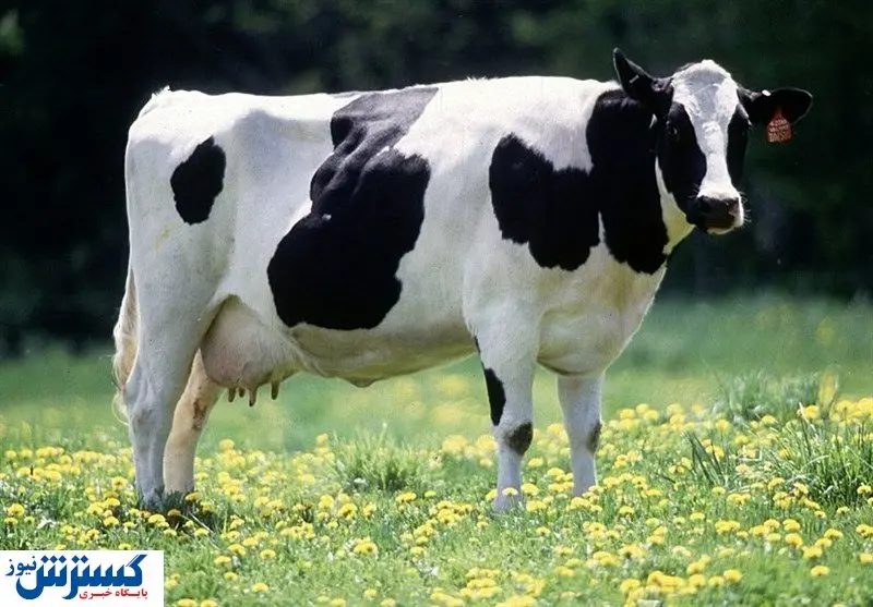 حمله شدید بیماری های واگیردار در راه است؟