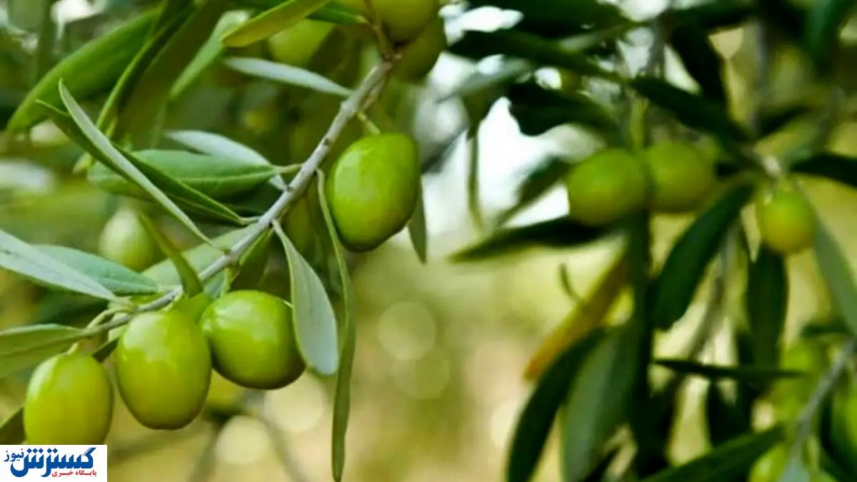 ساده ترین راه ها برای رفع یبوست