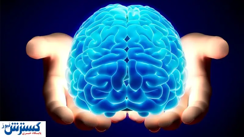 تکنولژی نور به کمک شناخت مغز می آید؟