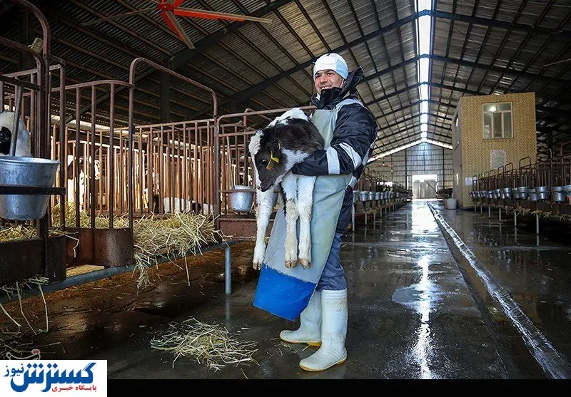 ایجاد ۱۸۰ هزار شغل جدید در کشور