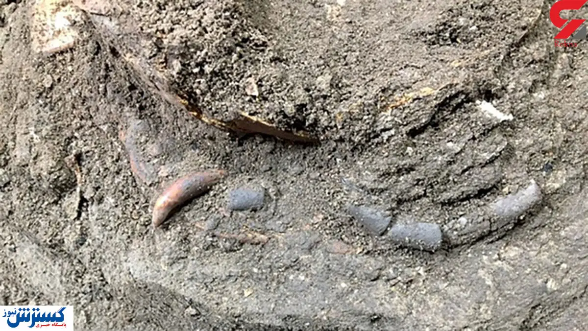 کشف اسکلت ۱۲ هزار ساله در  مازندران / عکس