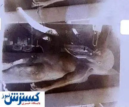 فیلم موجودات فضایی؛ ۱ میلیون دلار  / عکس