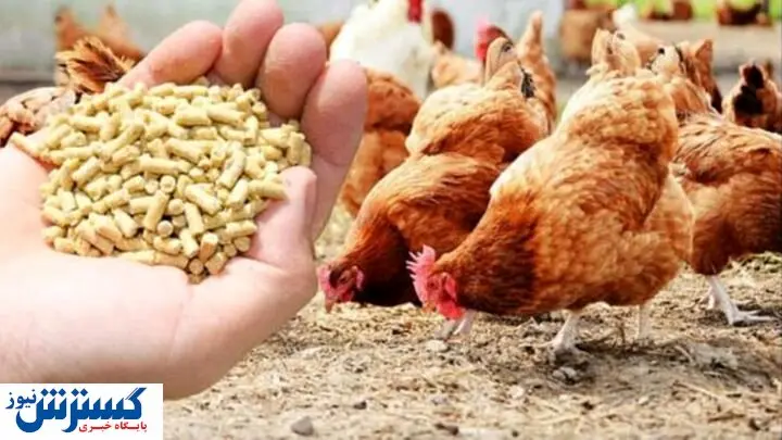 قیمت روز نهاده های دامی و کشاورزی در بازار (۱۴۰۰/۰۳/۱۷) + جدول