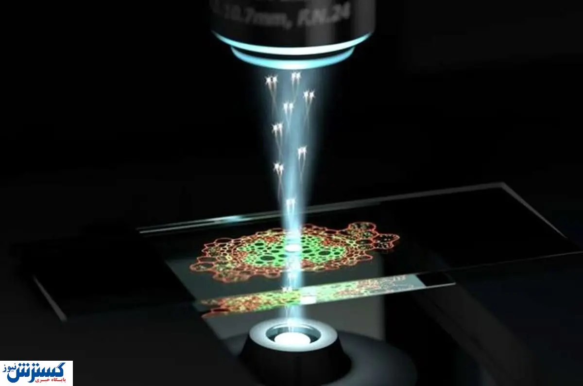 مشاهده ساختارهای بیولوژیکی ممکن شد! + جزئیات