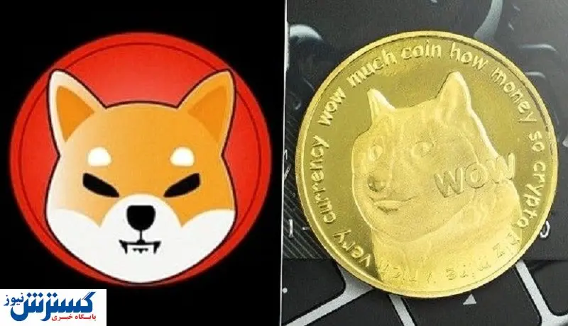 شیبا قاتل دوج‌کوین!