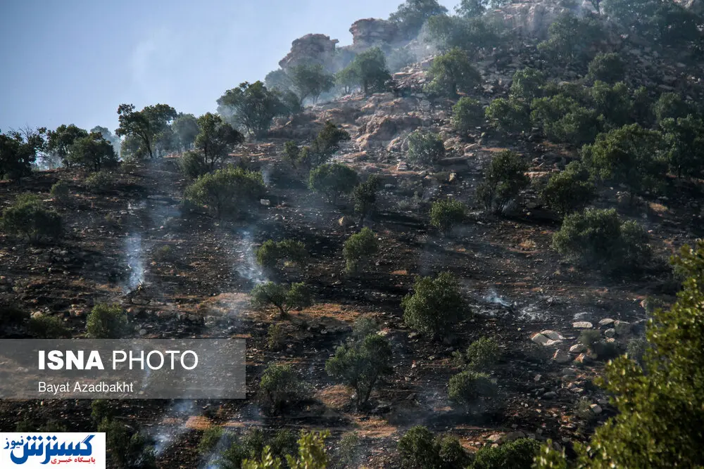 تصاویر/ پدیده هرساله جنگل‌سوزی در زاگرس