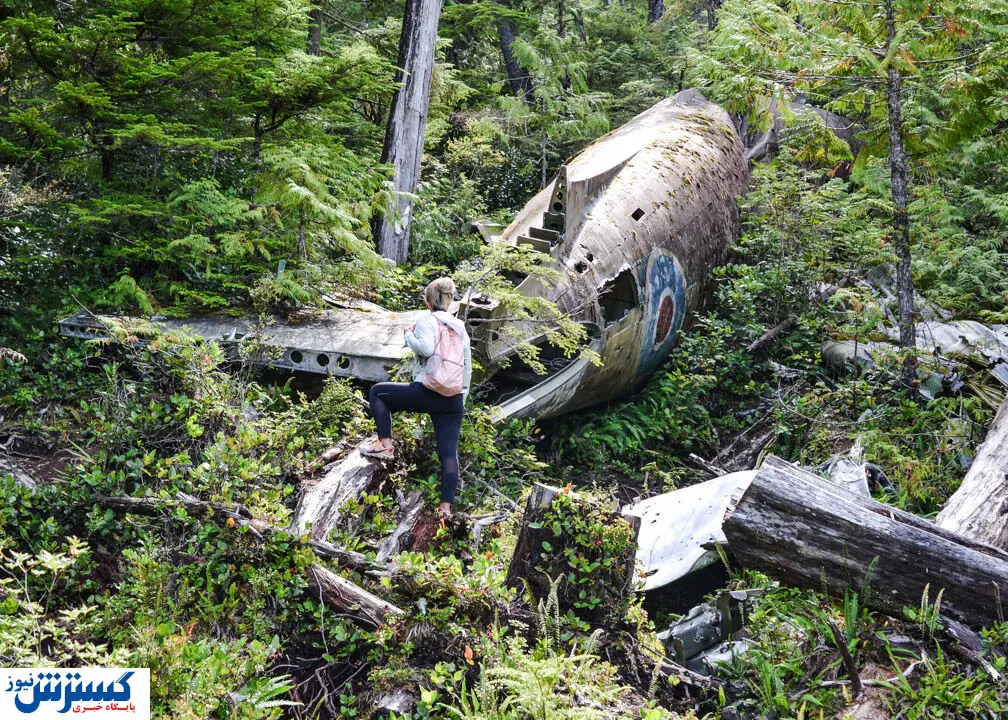 سقوط مرگبار هواپیما نظامی با ۸۵ سرنشین