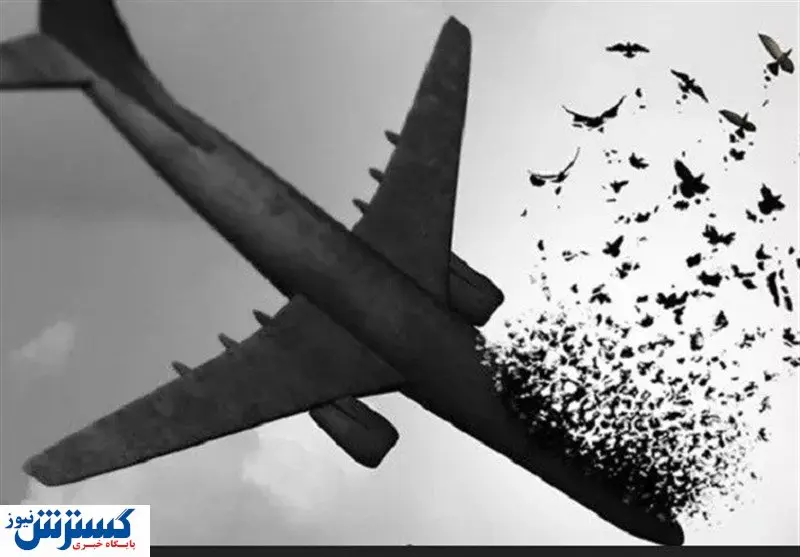 فوری/ناگفتههای پرونده سقوط هواپیمای اوکراینی