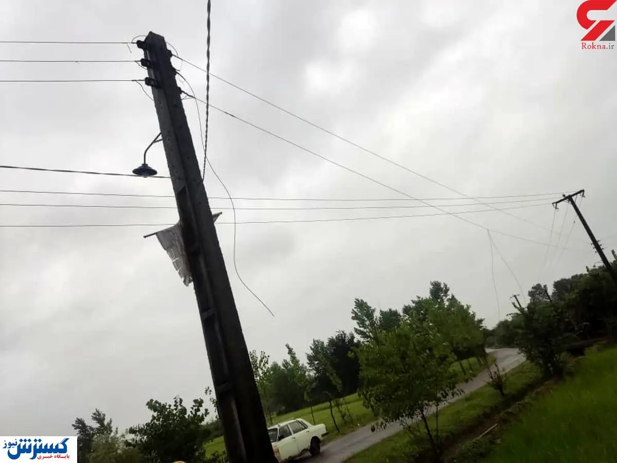 یک گاو، بدشانستر از سارق بدشانس!