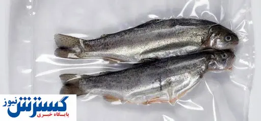 قیمت ماهی های بسته بندی شده در بازار + جدول