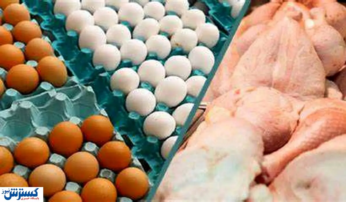 قیمت روز مرغ ،تخم مرغ وگوشت قرمز در میادین ( ۲۳ تیر)