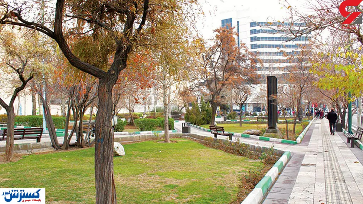 راهکار جدید برای بردن سگ و گربه ها به پارک!