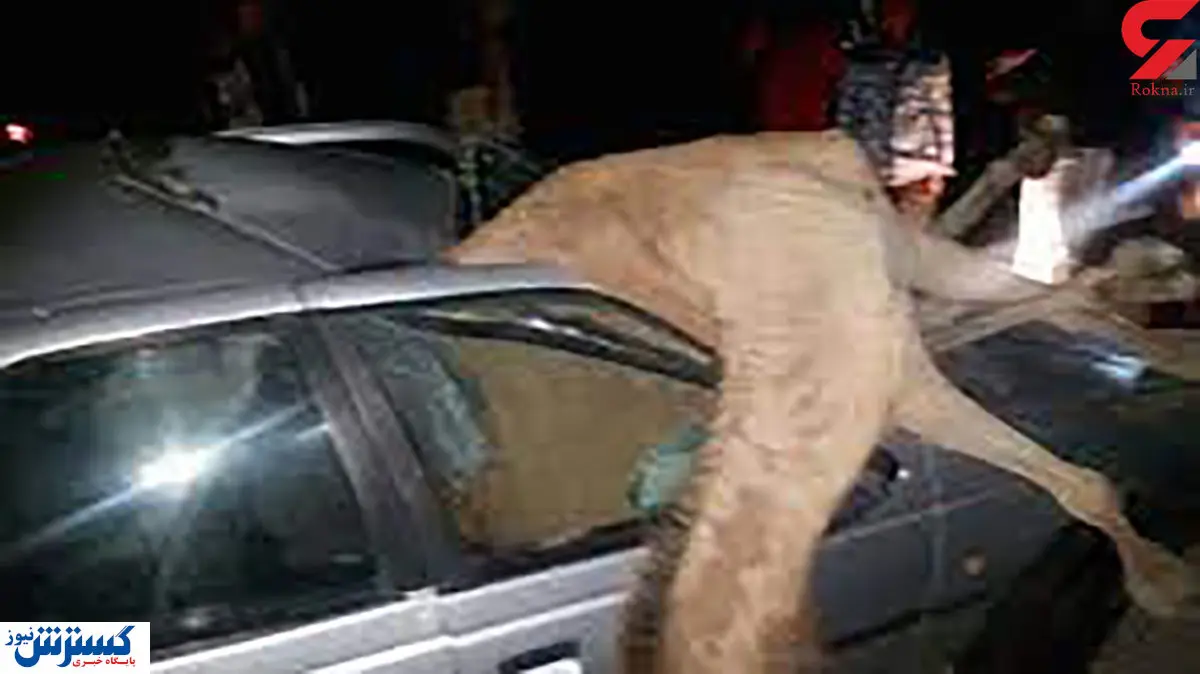 برخورد مرگبار پژو با شتر ! + عکس