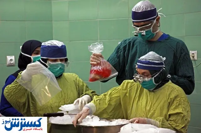 شرایط اهدای عضو اعضای بدن چیست؟