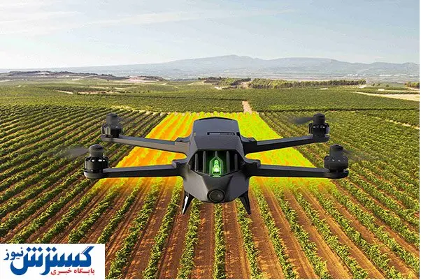 این الگوی کشت چه کسانی را ثروتمند می کند؟