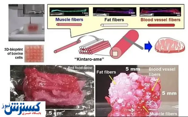تولید استیک گوشت با پرینتر!