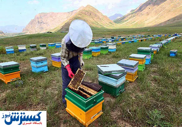 مشکل جدید گریبان زنبورداران را گرفت