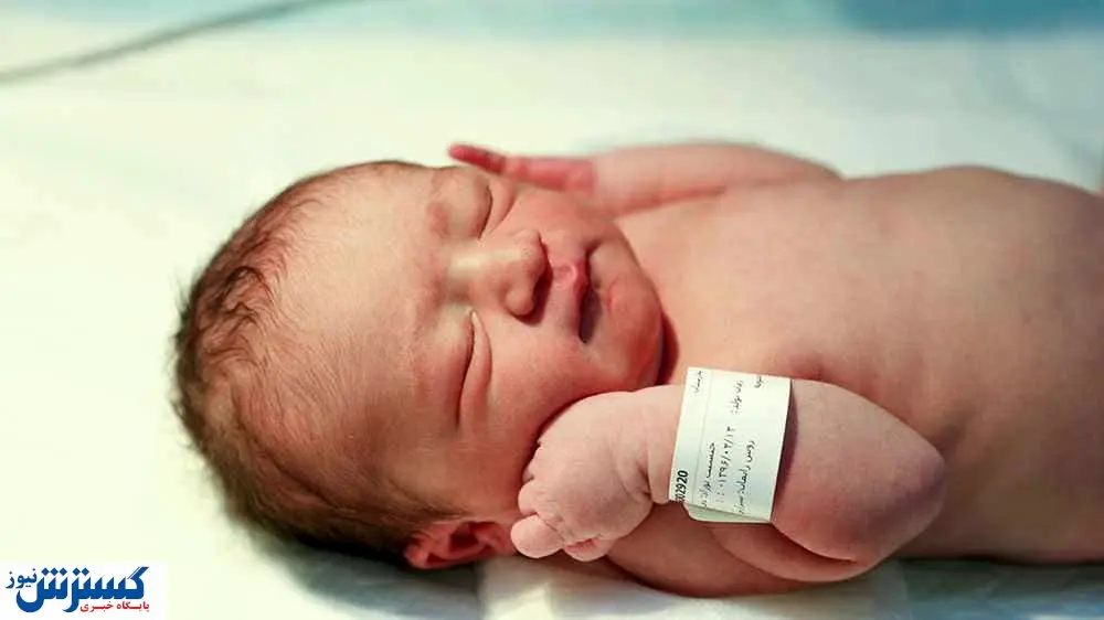 مدفوع گربه، جان این نوزاد را گرفت!