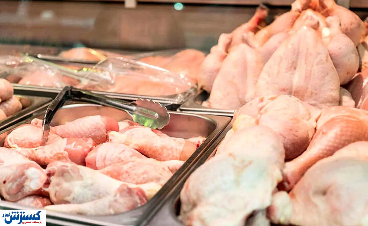 قیمت مرغ و گوشت تا پایان پاییز کاهش می یابد؟