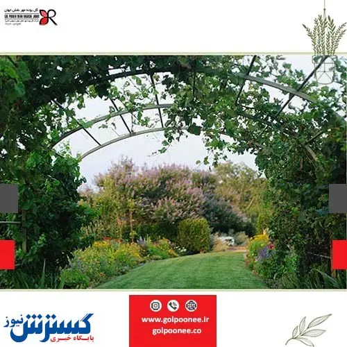 طراحی فضای سبز و اصول نگهداری از آن