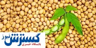 تاثیر فوق العاده این خوراکی برای تنظیم فشار خون