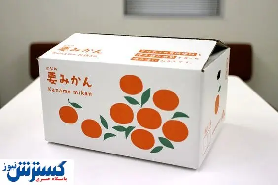 طراحی و چاپ کارتن / کارتن سازی «گلبرگ باکس» / معتبرترین کارتن سازی