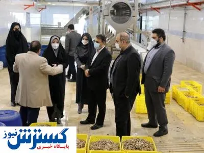 حمایت از واحدهای تولیدی سبب رشد اشتغال است