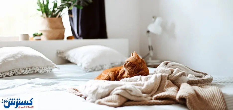 ۱۰ قدم آسان برای انتخاب تختخواب مناسب