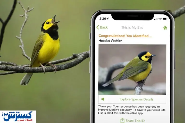 صدای پرندگان اطراف خود را تشخیص دهید