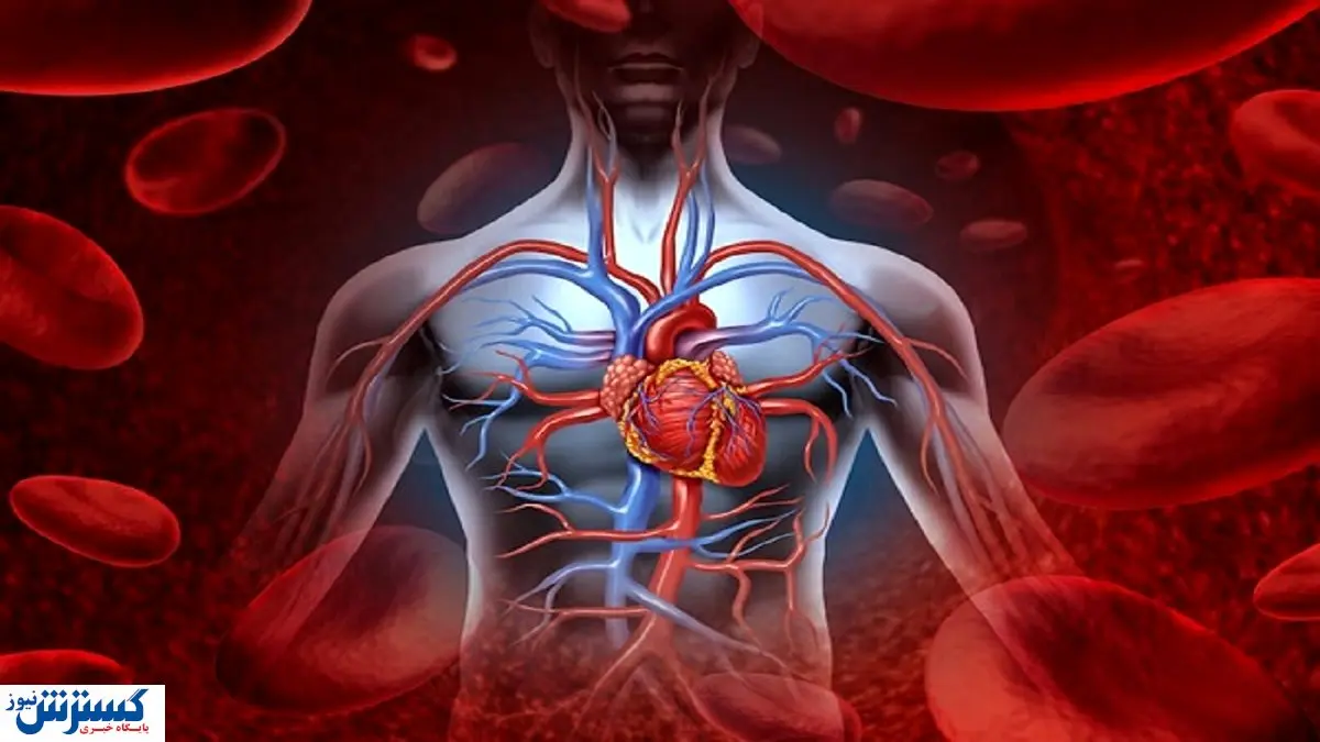 این خوراکی ها اکسیژن خون را افزایش می دهد