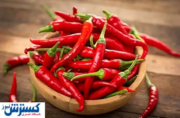 روسها فلفل ایران را غیربهداشتی معرفی کردند