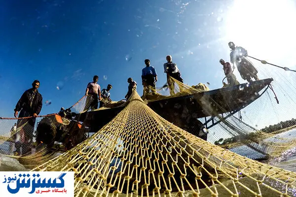 هم حال صیادان خراب است هم ماهی ها