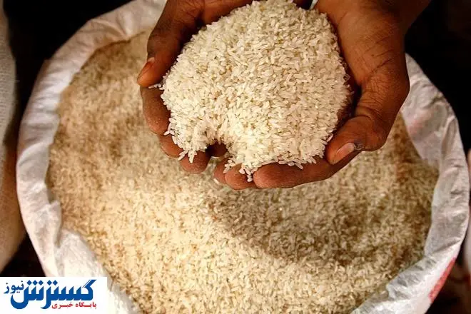 راهکار جالب کاهش قیمت برنج از زبان نماینده مجلس