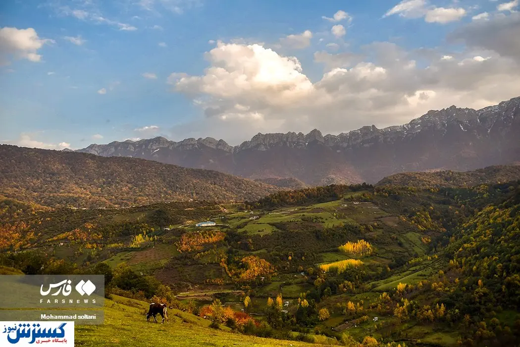 تصاویر/ پاییز در جنگل‌های هیرکانی